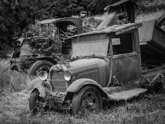 Old Fords B&W