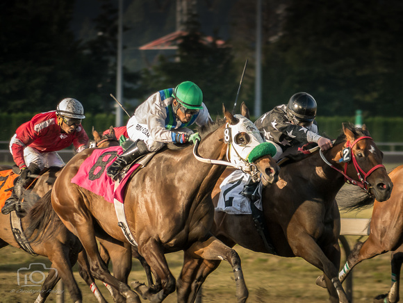 Emerald Downs 2016-HDR